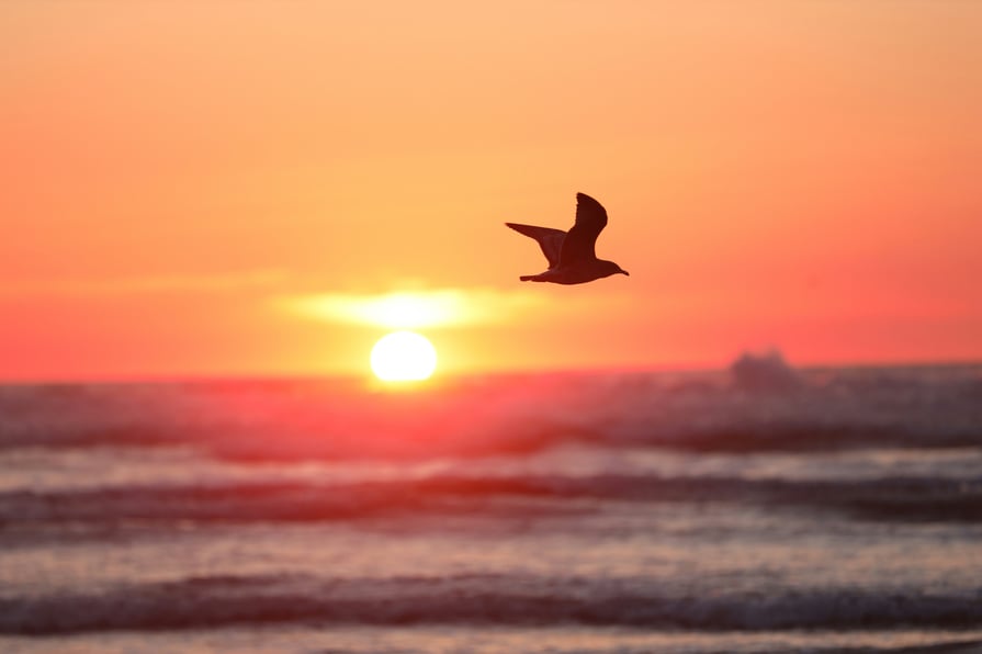 beyondthecure-pediatriccancer-survivorship-survivingcancer